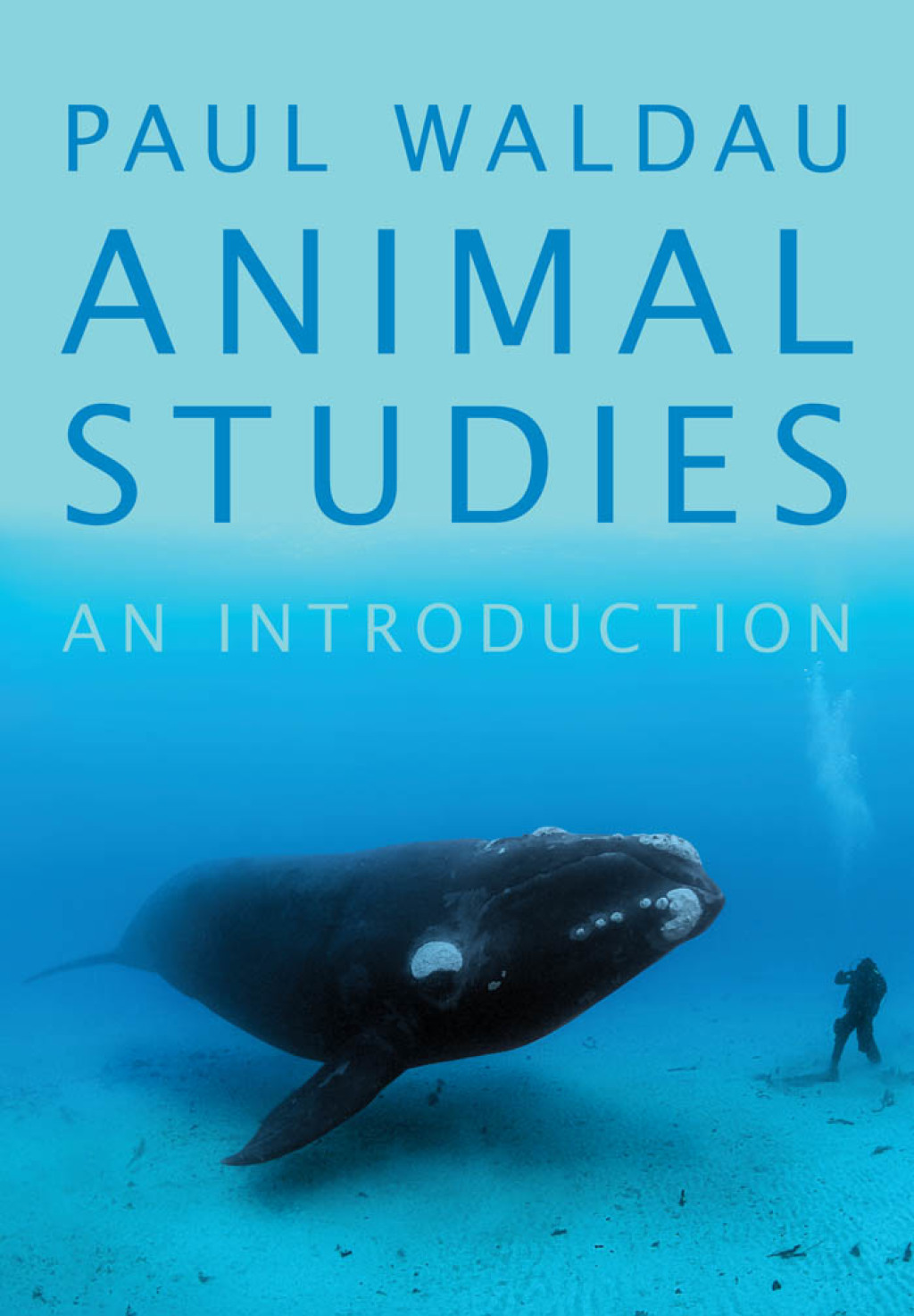 Animal Studies An Introduction - (PDF/EPUB Version)