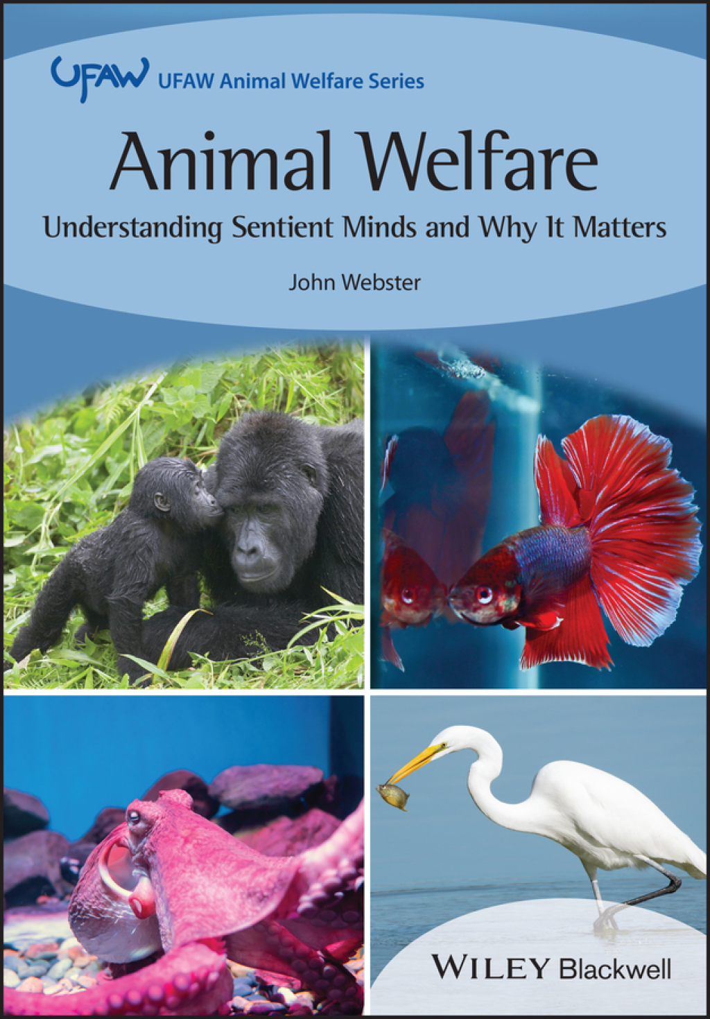 Animal Welfare Understanding Sentient Minds and Why It Matters 1st Edition â€“ PDF/EPUB Version Downloadable