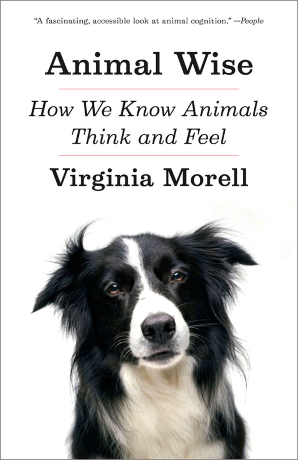 Animal Wise How We Know Animals Think and Feel - (PDF/EPUB Version)