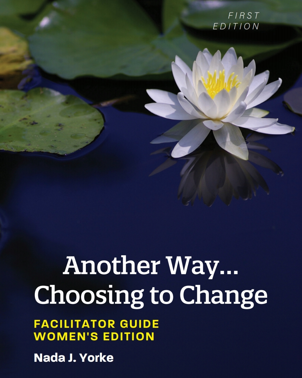 Another Way...Choosing to Change 1st Edition â€“ PDF/EPUB Version Downloadable