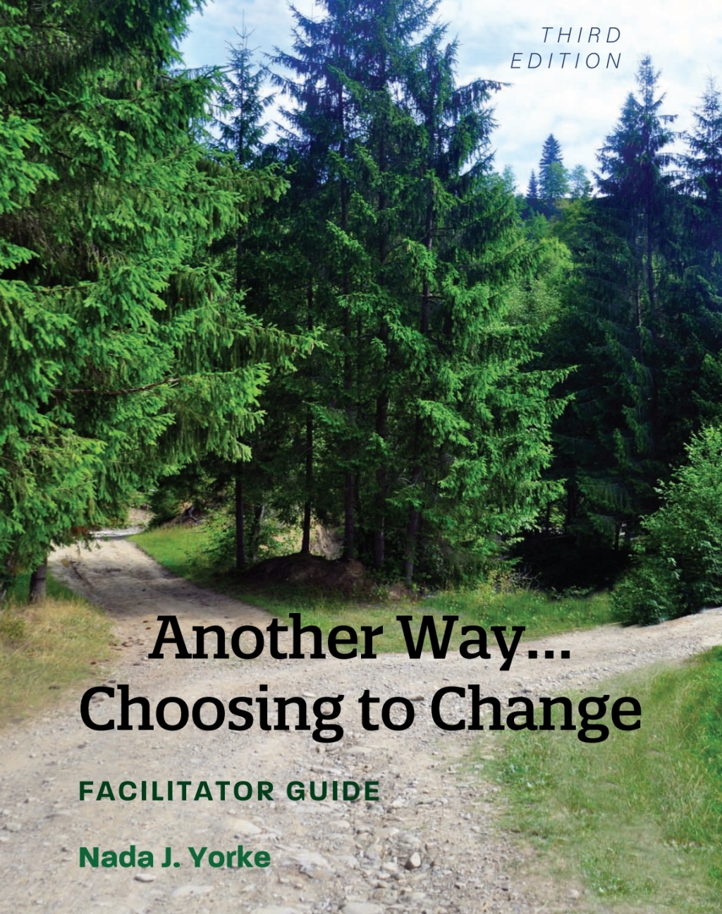 Another Way...Choosing to Change 3rd Edition â€“ PDF/EPUB Version Downloadable