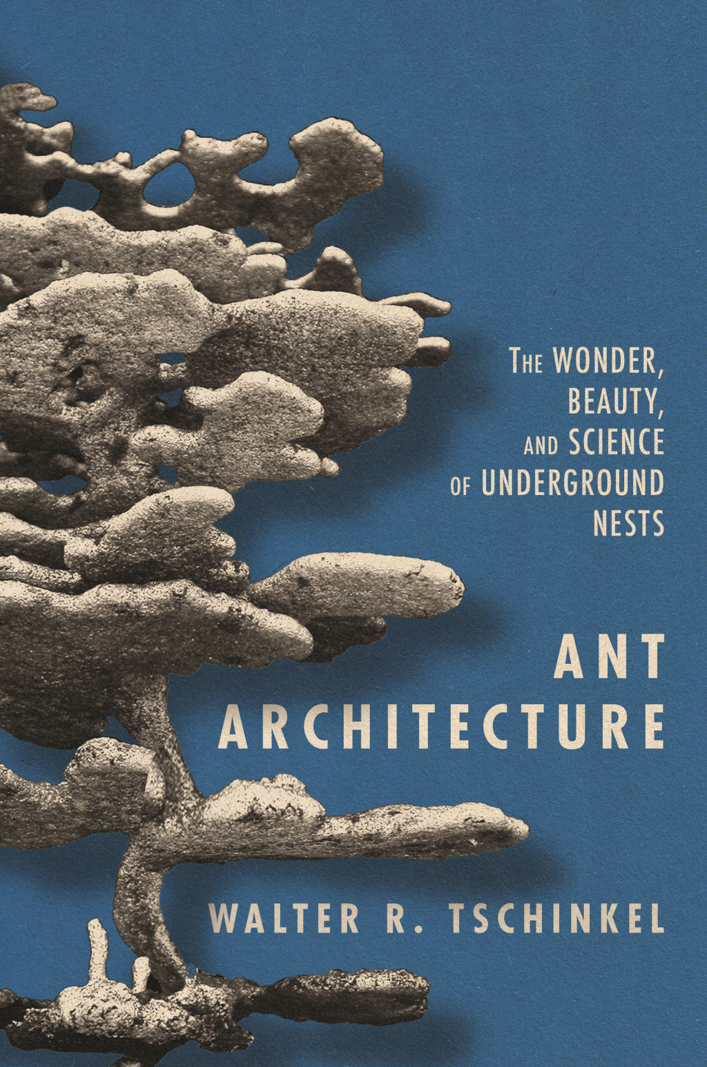 Ant Architecture The Wonder, Beauty, and Science of Underground Nests - (PDF/EPUB Version)