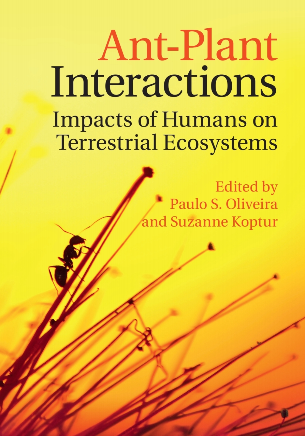 Ant-Plant Interactions Impacts of Humans on Terrestrial Ecosystems  â€“ PDF/EPUB Version Downloadable