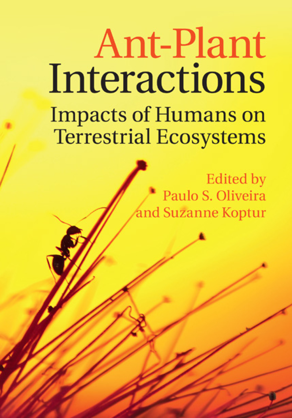 Ant-Plant Interactions Impacts of Humans on Terrestrial Ecosystems – PDF/EPUB Version Downloadable Ant-Plant Interactions Impacts of Humans on Terrestrial Ecosystems – PDF/EPUB Version Downloadable - Image 1