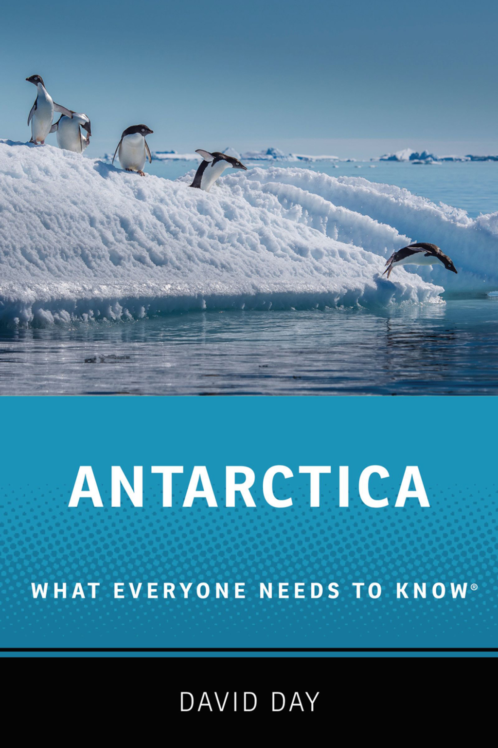 Antarctica What Everyone Needs to KnowÂ® - (PDF/EPUB Version)