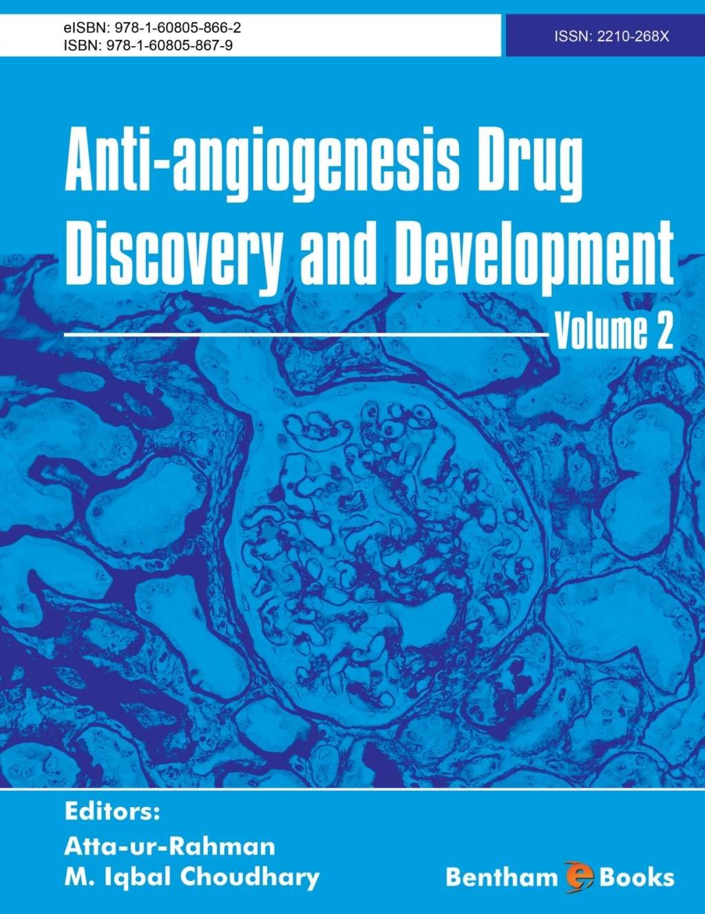 Anti-Angiogenesis Drug Discovery and Development: Volume 2 1st Edition â€“ PDF/EPUB Version Downloadable