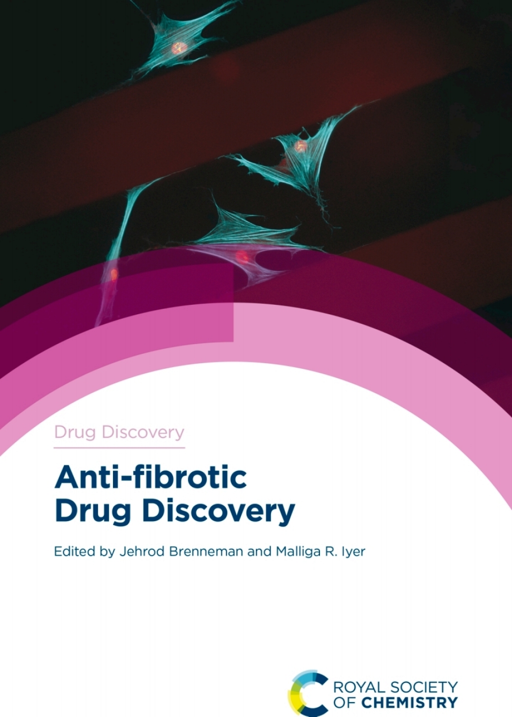 Anti-fibrotic Drug Discovery 1st Edition â€“ PDF/EPUB Version Downloadable