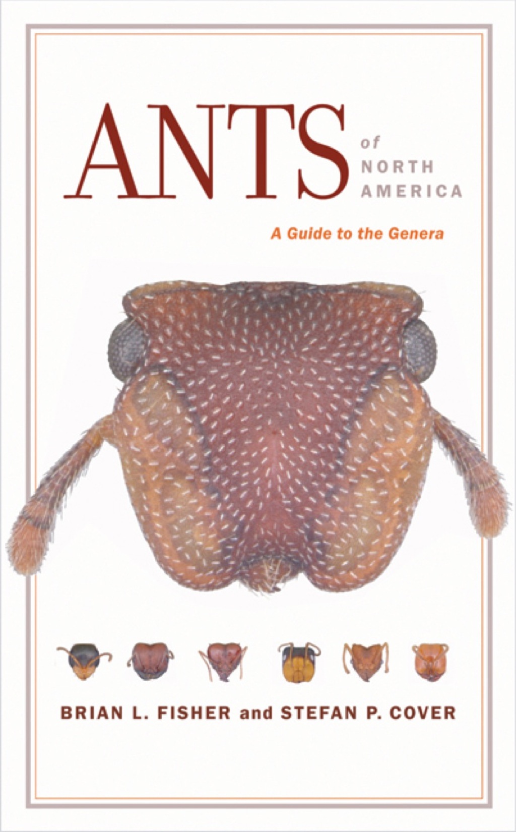 Ants of North America A Guide to the Genera 1st Edition - (PDF/EPUB Version)