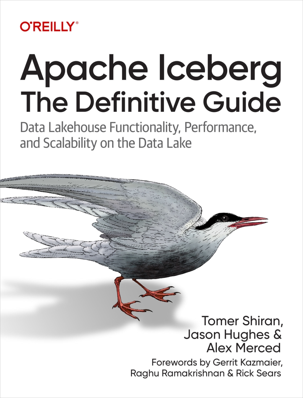 Apache Iceberg: The Definitive Guide Data Lakehouse Functionality ...