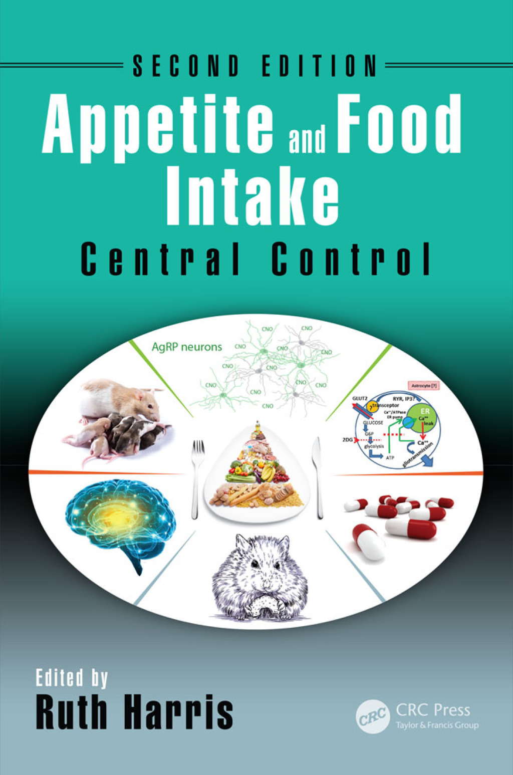 Appetite and Food Intake Central Control, Second Edition 2nd Edition â ...