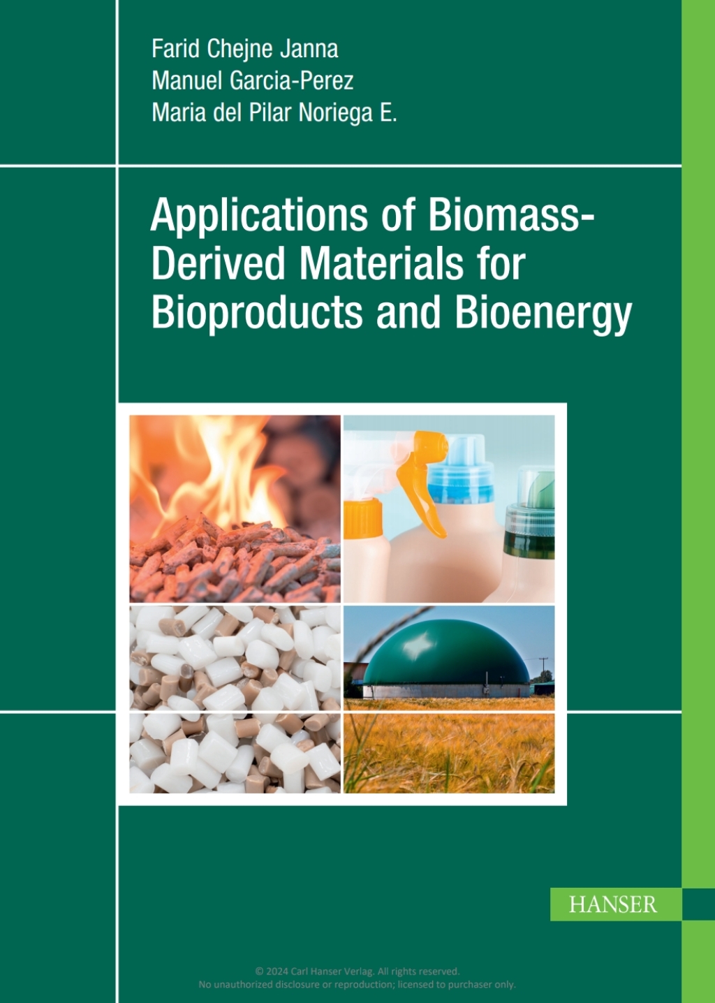 Applications of Biomass-Derived Materials for Bioproducts and Bioenergy 1st Edition â€“ PDF/EPUB Version Downloadable