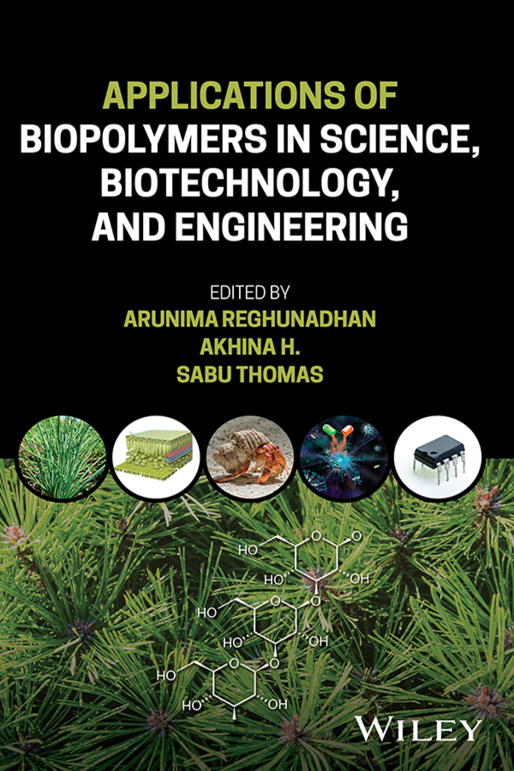 Applications of Biopolymers in Science, Biotechnology, and Engineering ...