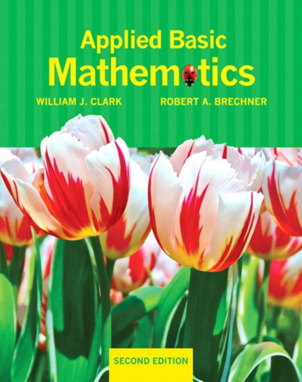 Applied Basic Mathematics 1st Edition â€“ PDF/EPUB Version Downloadable