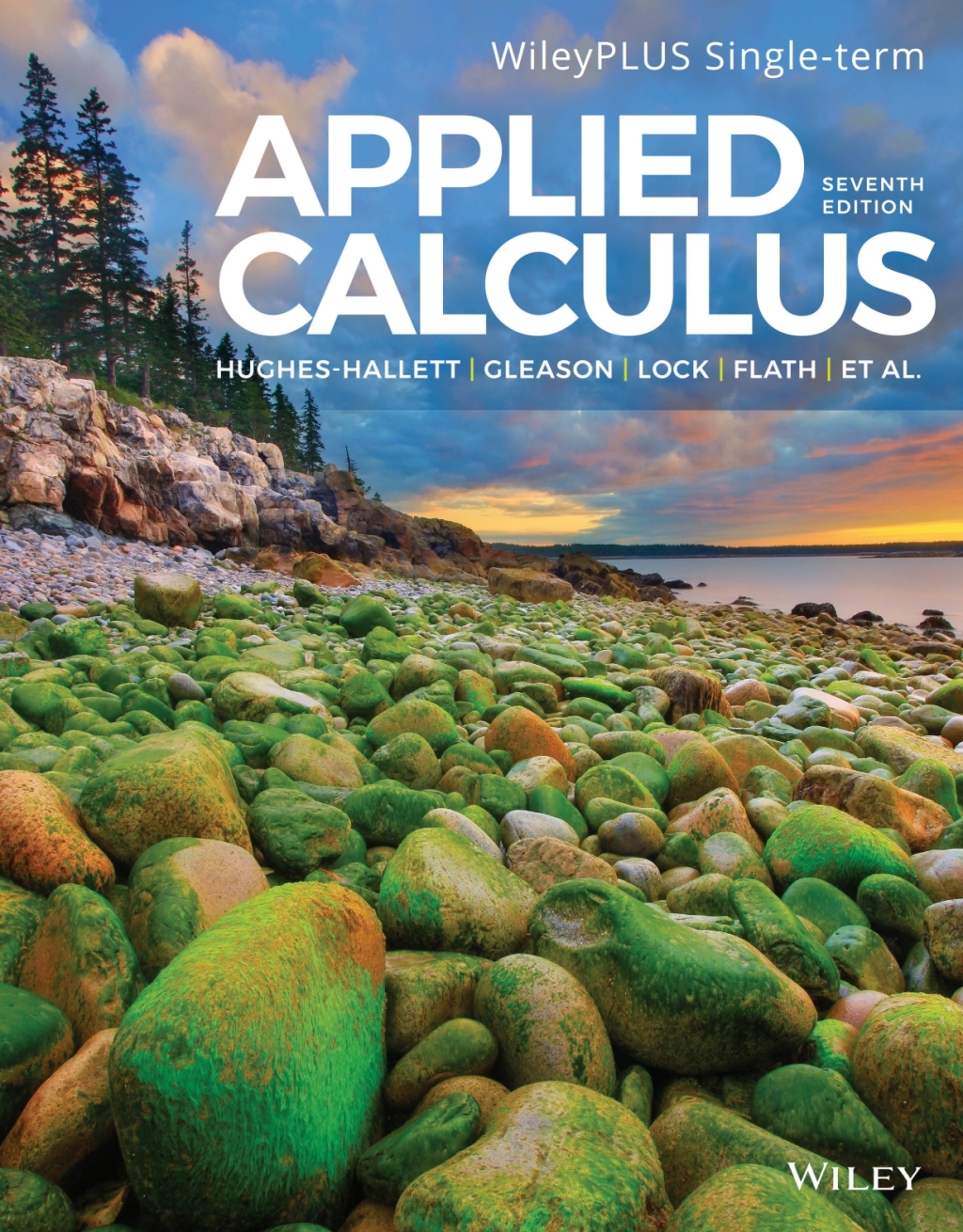 Applied Calculus, WileyPLUS Single-term 7th Edition â€“ PDF/EPUB Version Downloadable
