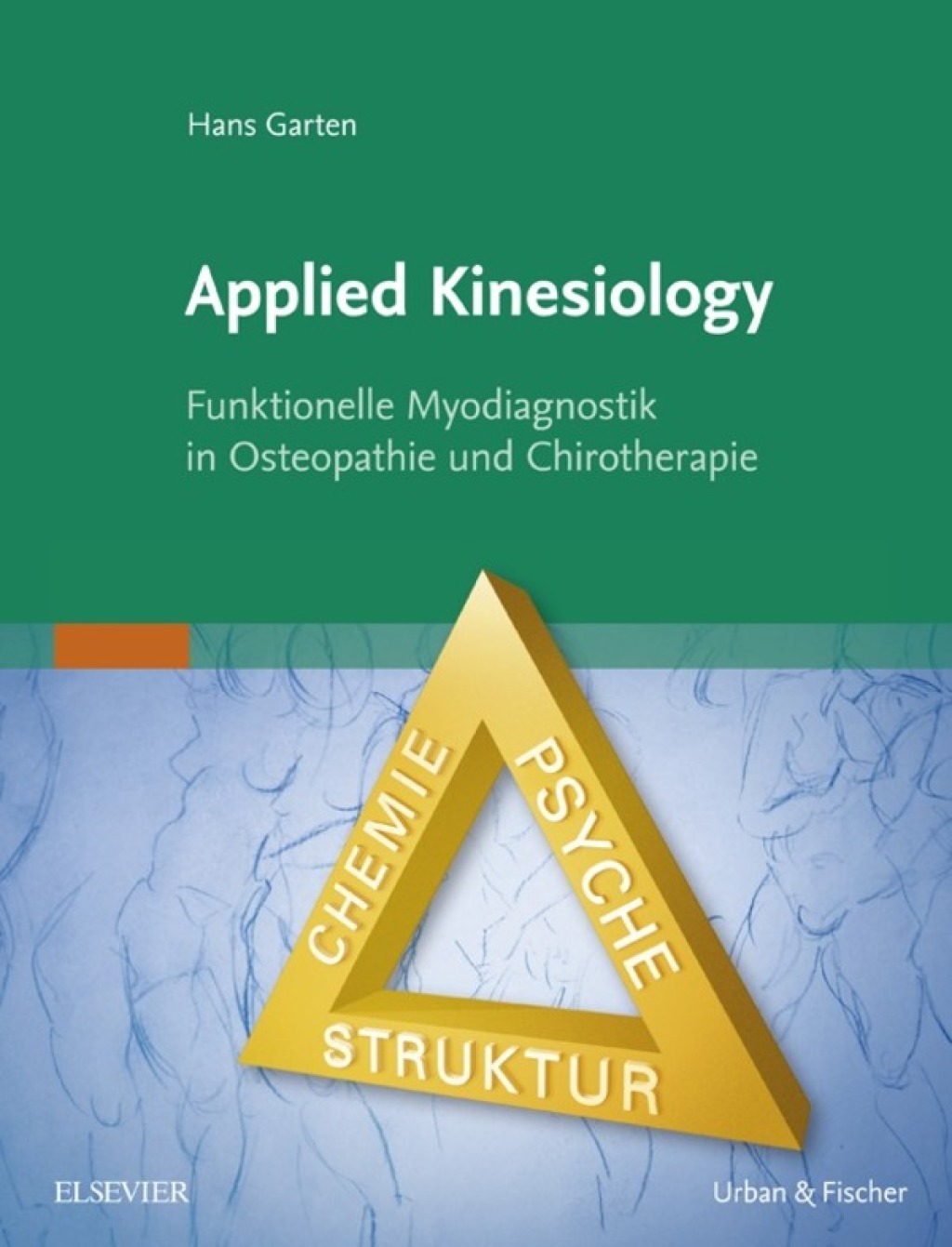 Applied Kinesiology Funktionelle Myodiagnostik in Osteopathie und Chirotherapie â€“ PDF/EPUB Version Downloadable