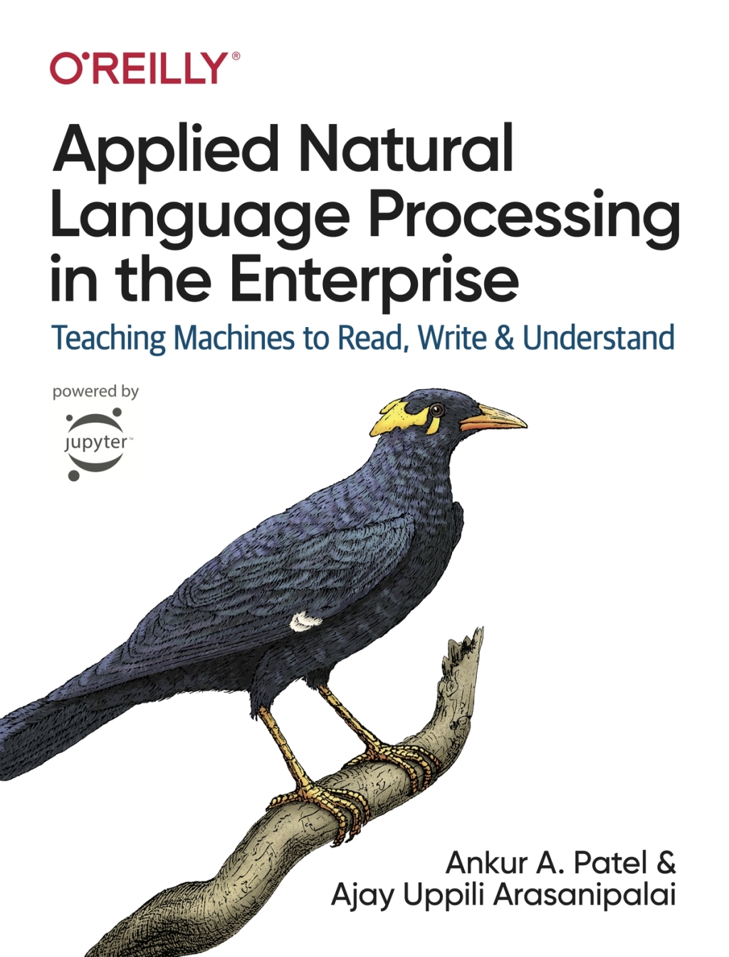 Applied Natural Language Processing in the Enterprise 1st Edition â€“ PDF/EPUB Version Downloadable