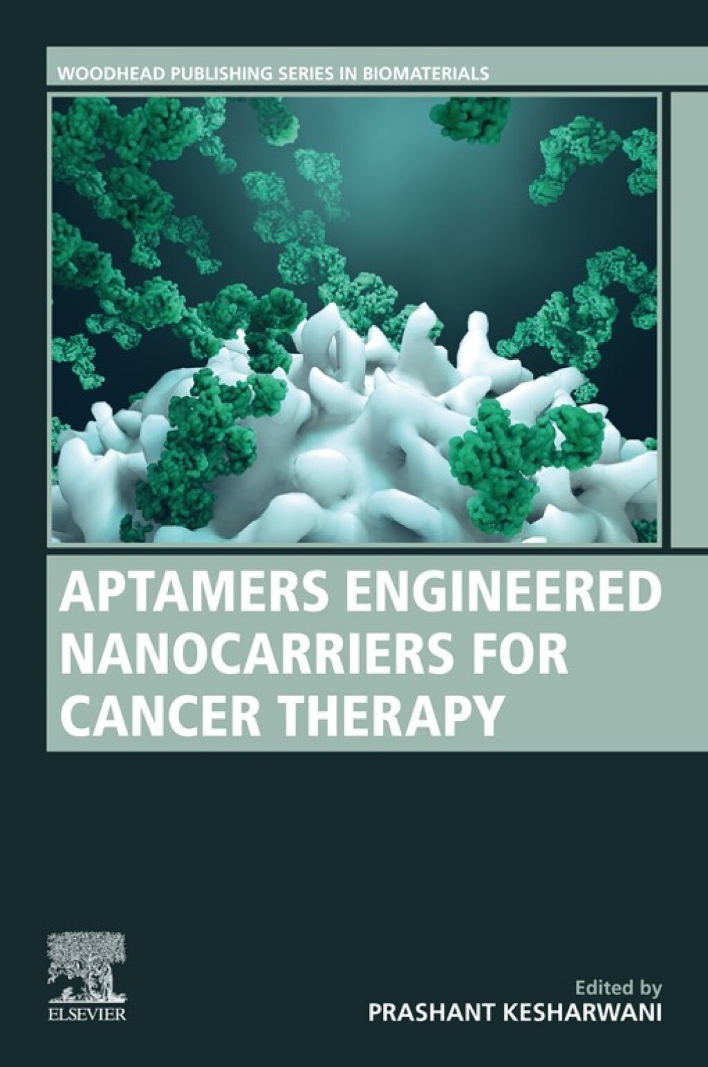 Aptamers Engineered Nanocarriers for Cancer Therapy 1st Edition â€“ PDF/EPUB Version Downloadable
