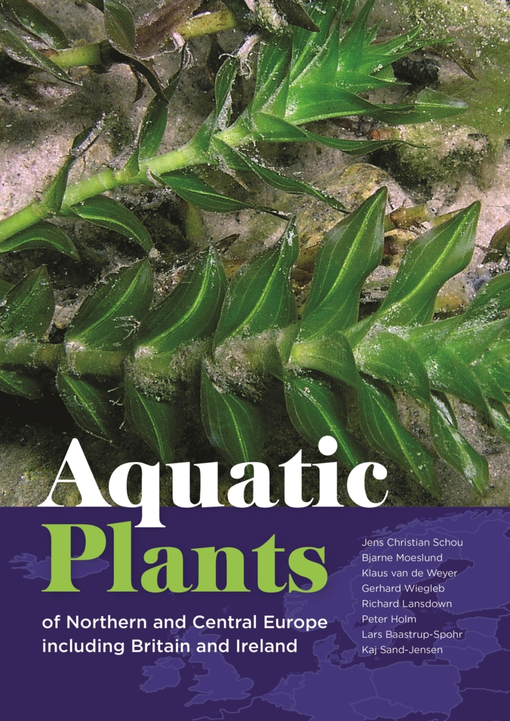 Aquatic Plants of Northern and Central Europe including Britain and Ireland â€“ PDF/EPUB Version Downloadable