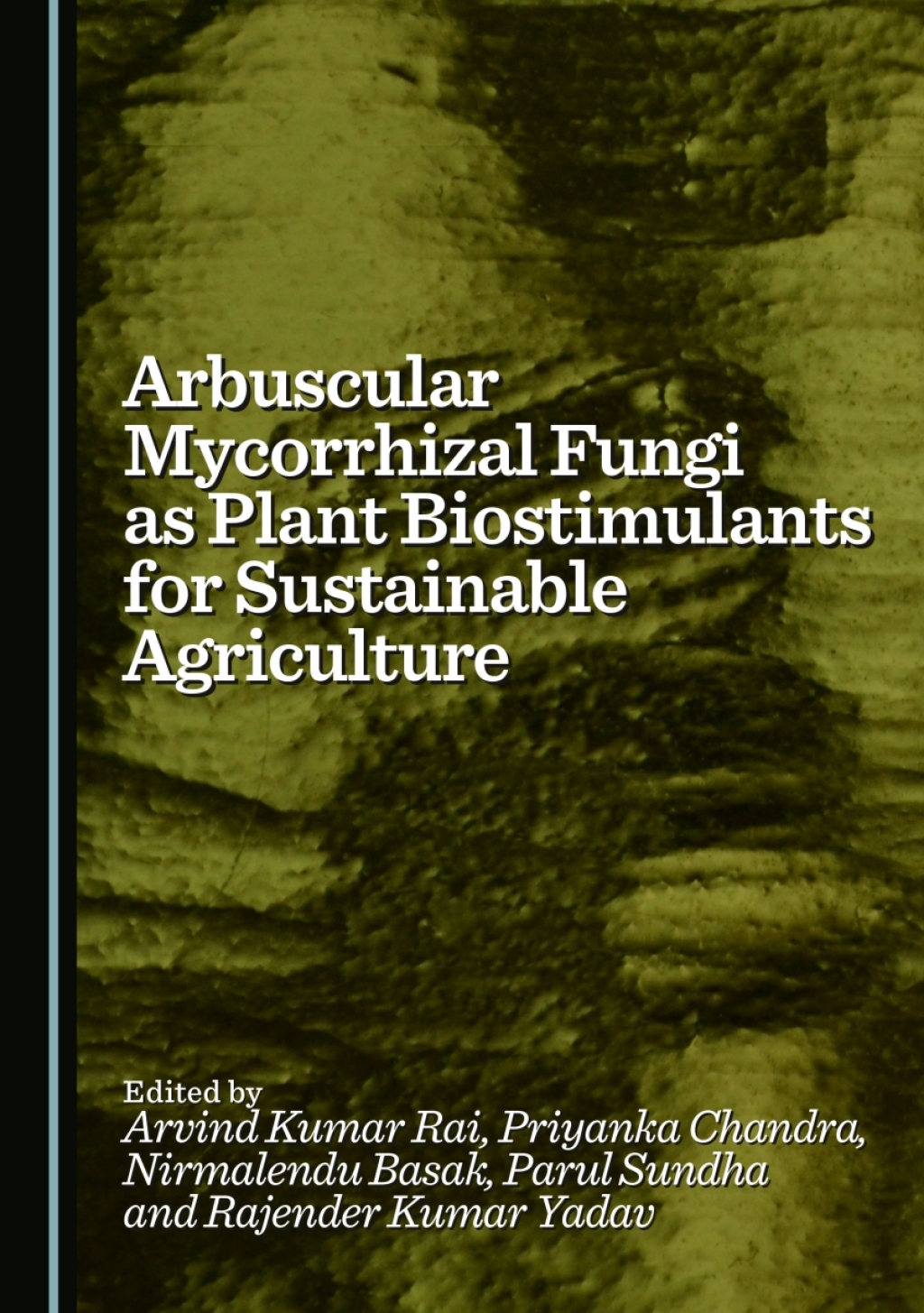Arbuscular Mycorrhizal Fungi as Plant Biostimulants for Sustainable Agriculture 1st Edition â€“ PDF/EPUB Version Downloadable