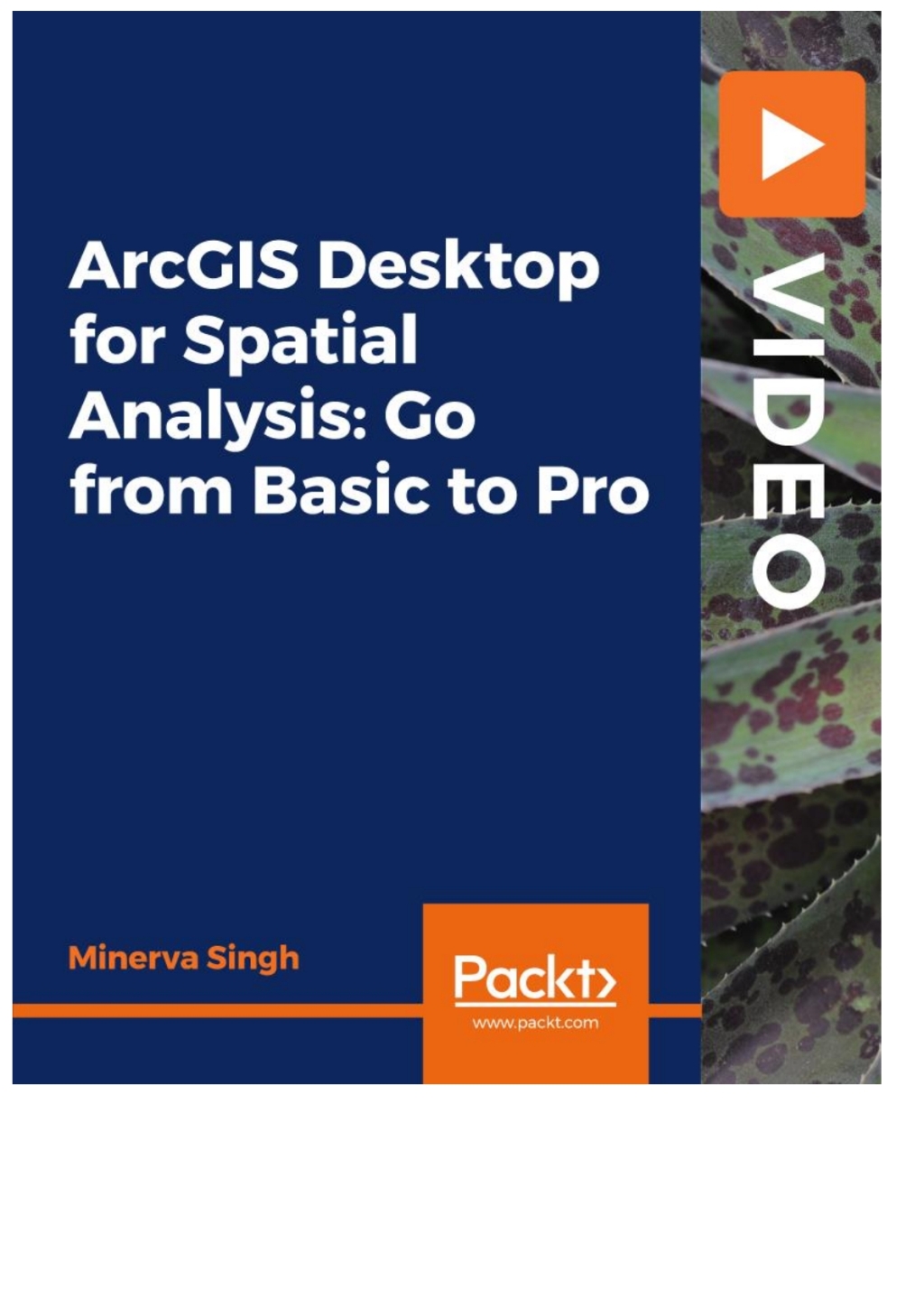 ArcGIS Desktop for Spatial Analysis: Go from Basic to Pro 1st Edition â€“ PDF/EPUB Version Downloadable