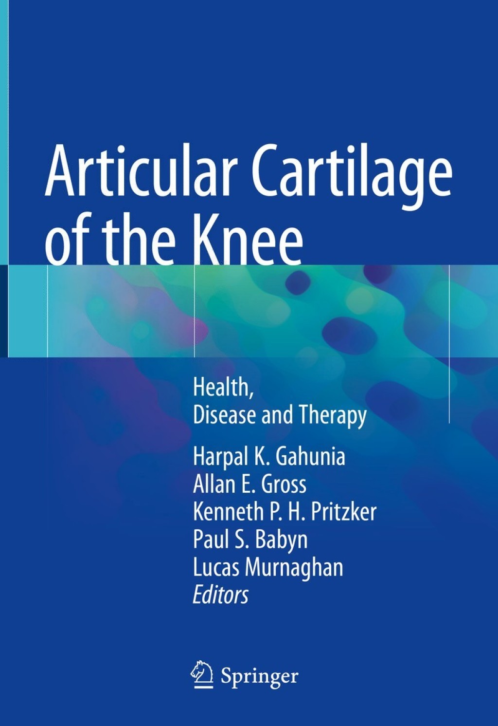 Articular Cartilage of the Knee Health, Disease and Therapy 1st Edition ...