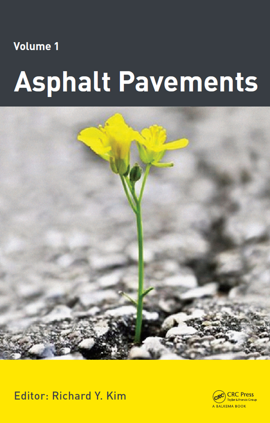Asphalt Pavements 1st Edition â€“ PDF/EPUB Version Downloadable