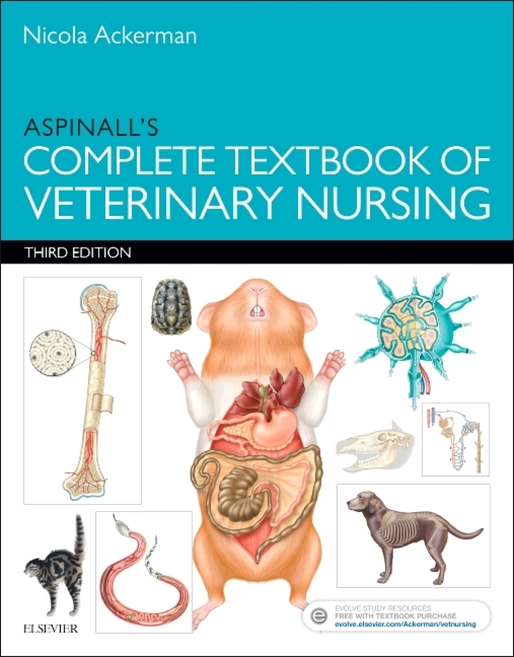 Aspinall's Complete Textbook of Veterinary Nursing 3rd Edition â€“ PDF/EPUB Version Downloadable