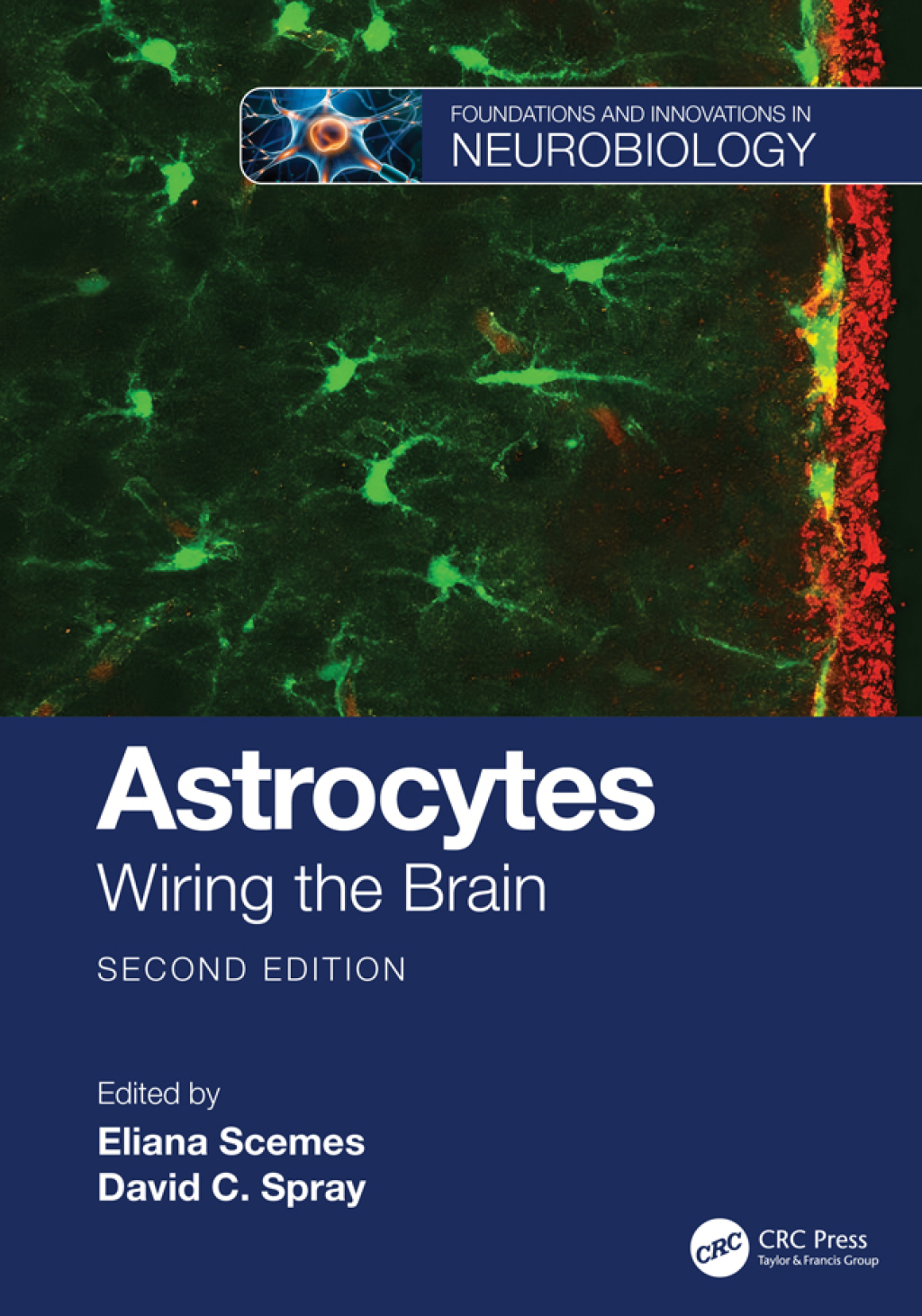 Astrocytes Wiring the Brain 2nd Edition â€“ PDF/EPUB Version Downloadable