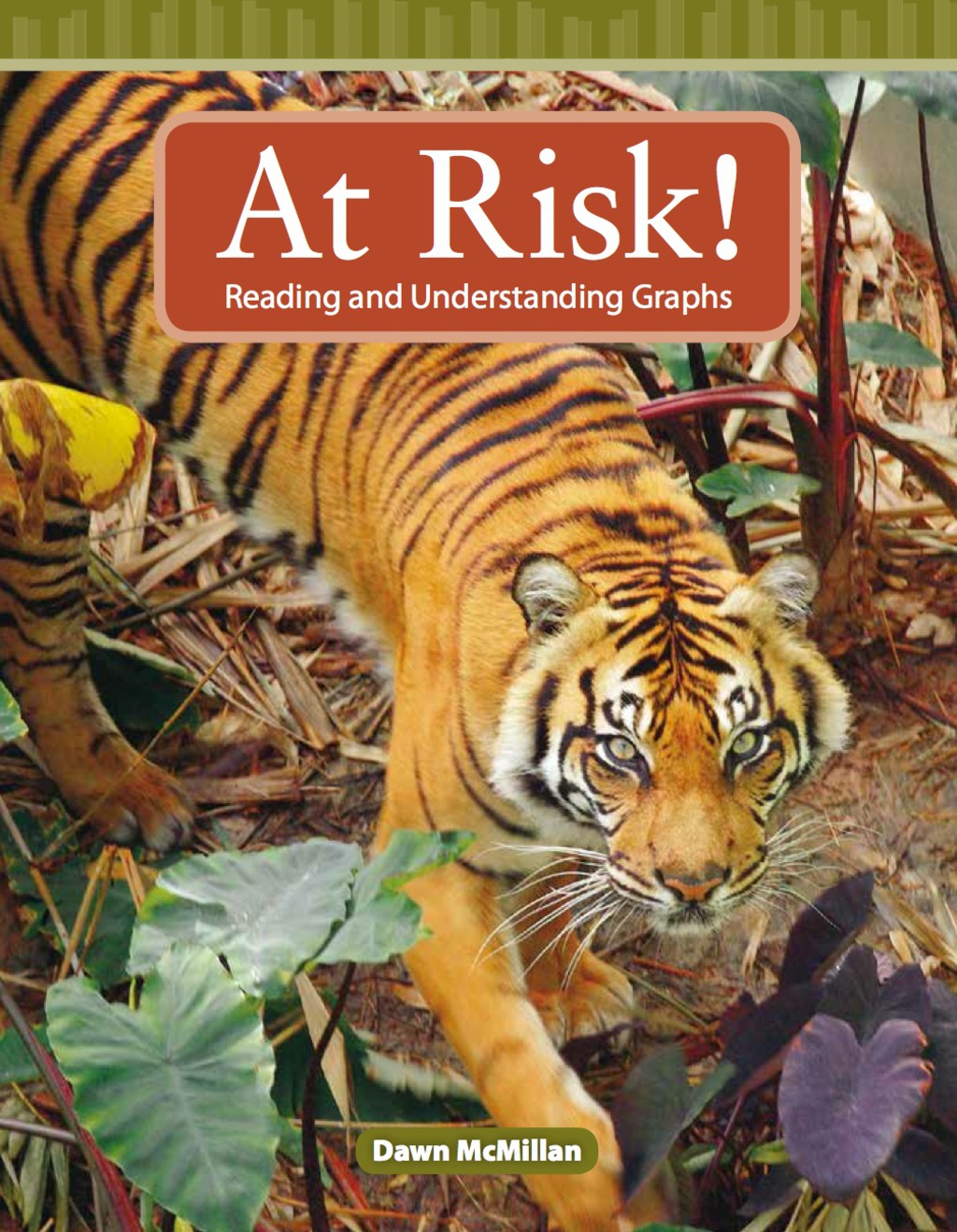 At Risk! 1st Edition - (PDF/EPUB Version)