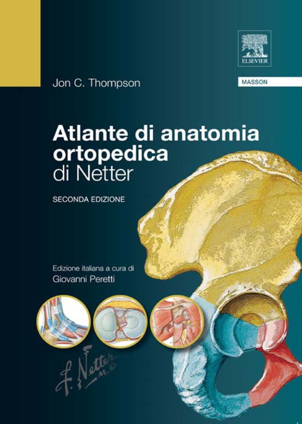 Atlante di anatomia ortopedica di Netter 2nd Edition â€“ PDF/EPUB Version Downloadable
