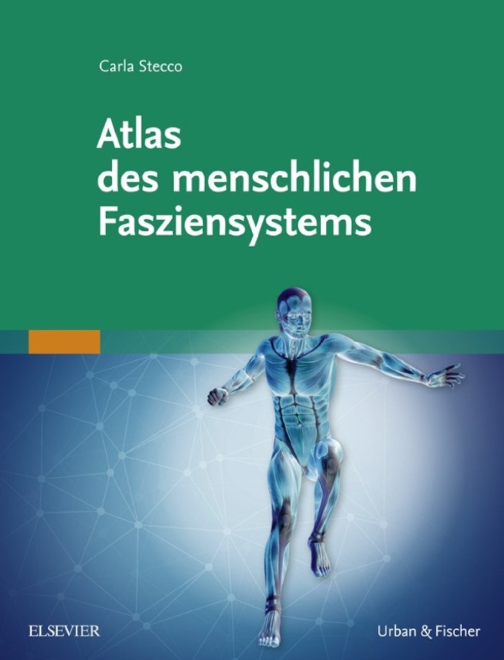 Atlas des menschlichen Fasziensystems  â€“ PDF/EPUB Version Downloadable