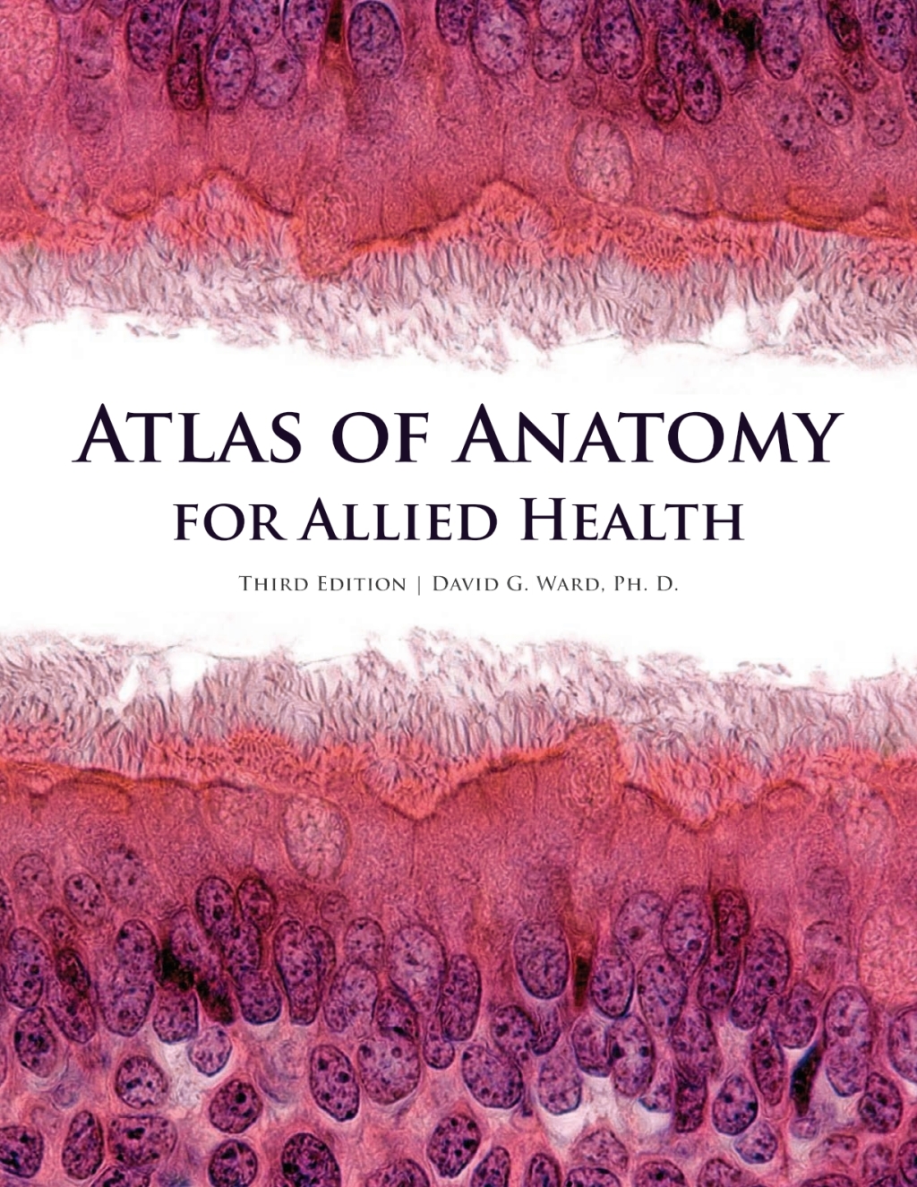 Atlas of Anatomy for Allied Health 3rd Edition - (PDF/EPUB Version)