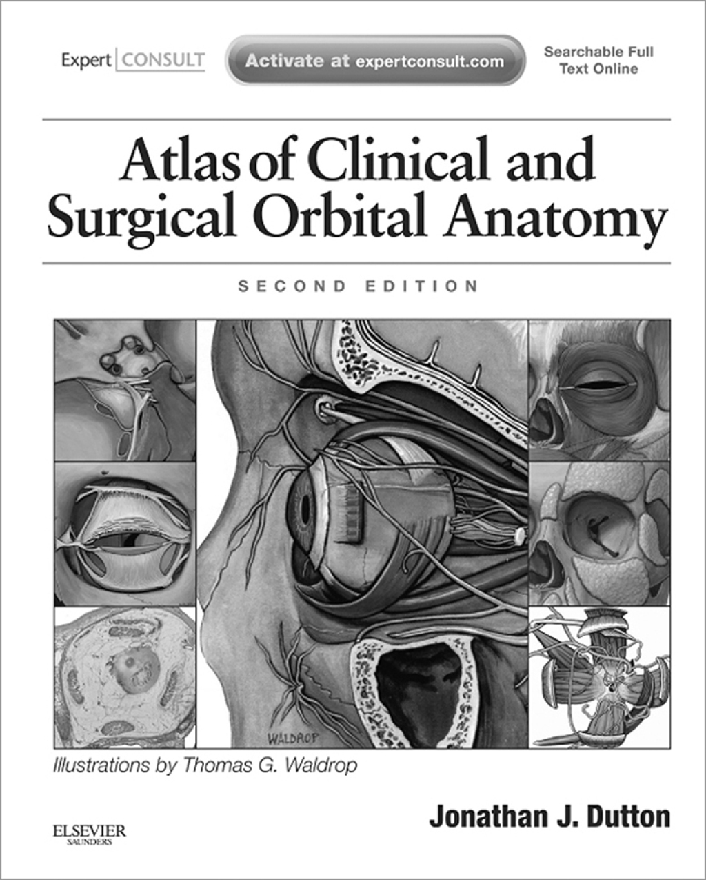 Atlas of Clinical and Surgical Orbital Anatomy 2nd Edition â€“ PDF/EPUB Version Downloadable