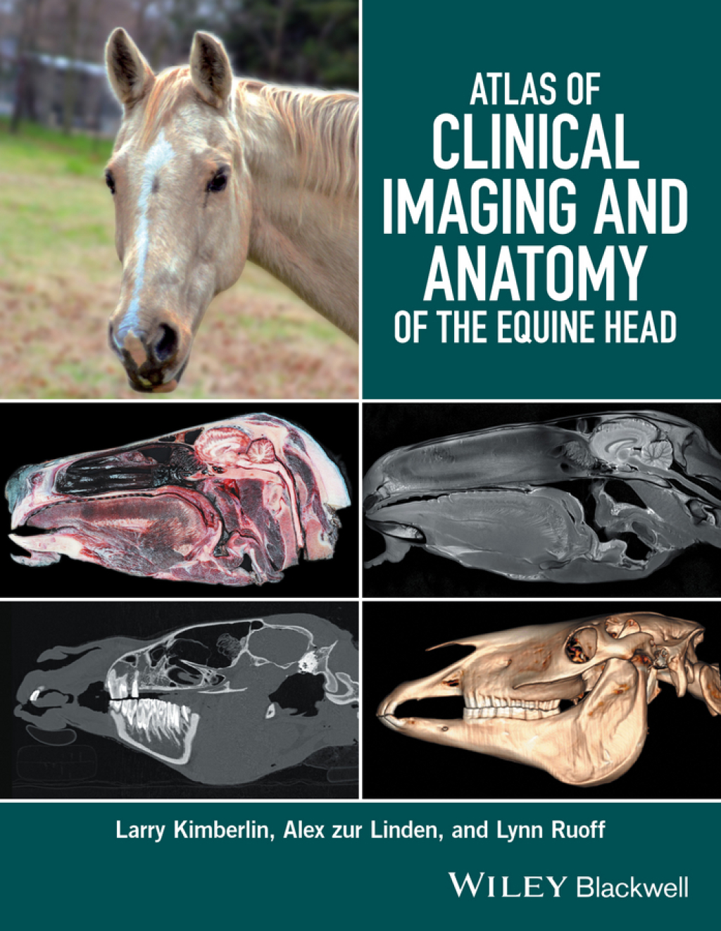 Atlas of Clinical Imaging and Anatomy of the Equine Head 1st Edition â€“ PDF/EPUB Version Downloadable