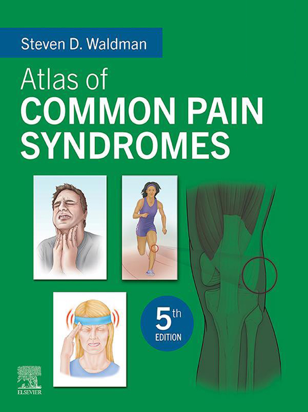 Atlas of Common Pain Syndromes 5th Edition â€“ PDF/EPUB Version Downloadable