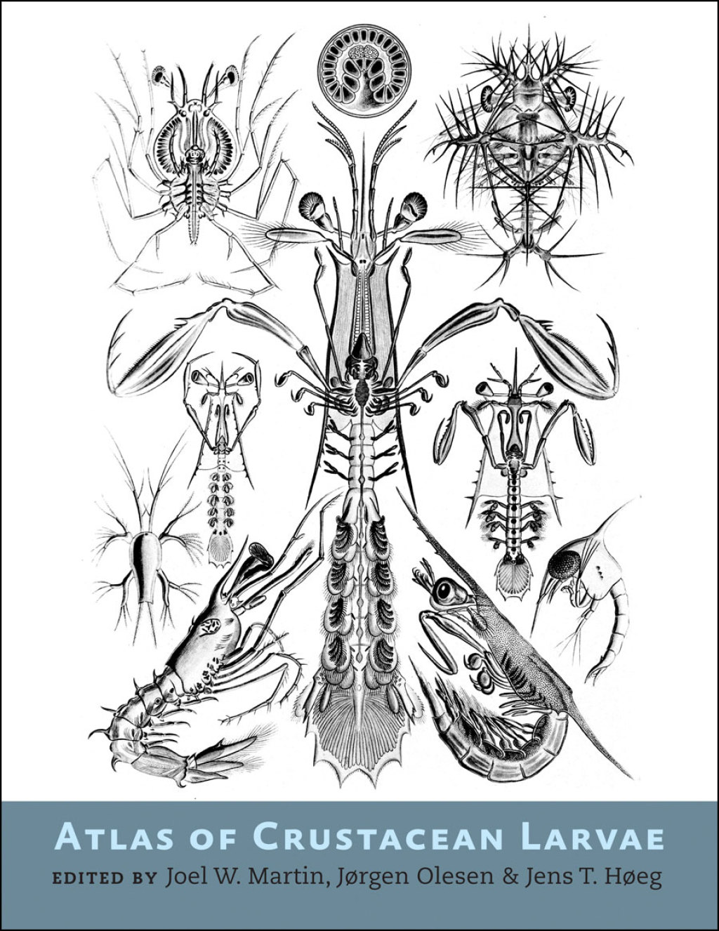 Atlas of Crustacean Larvae â€“ PDF/EPUB Version Downloadable