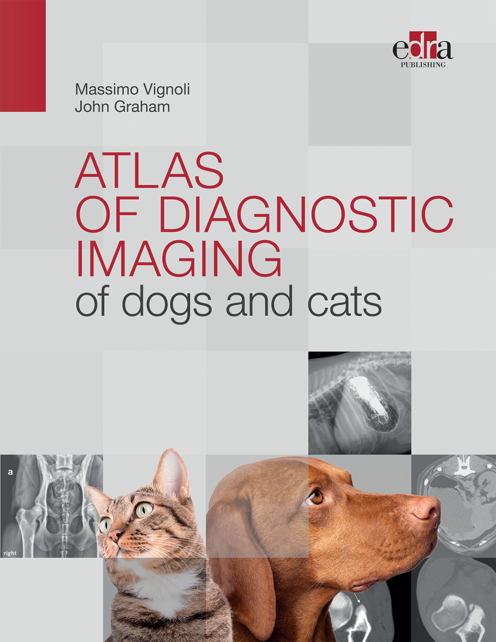 Tierd Cat.pdf Atlas of diagnostic imaging of dogs and cats 1st Edition – PDF/EPUB ...