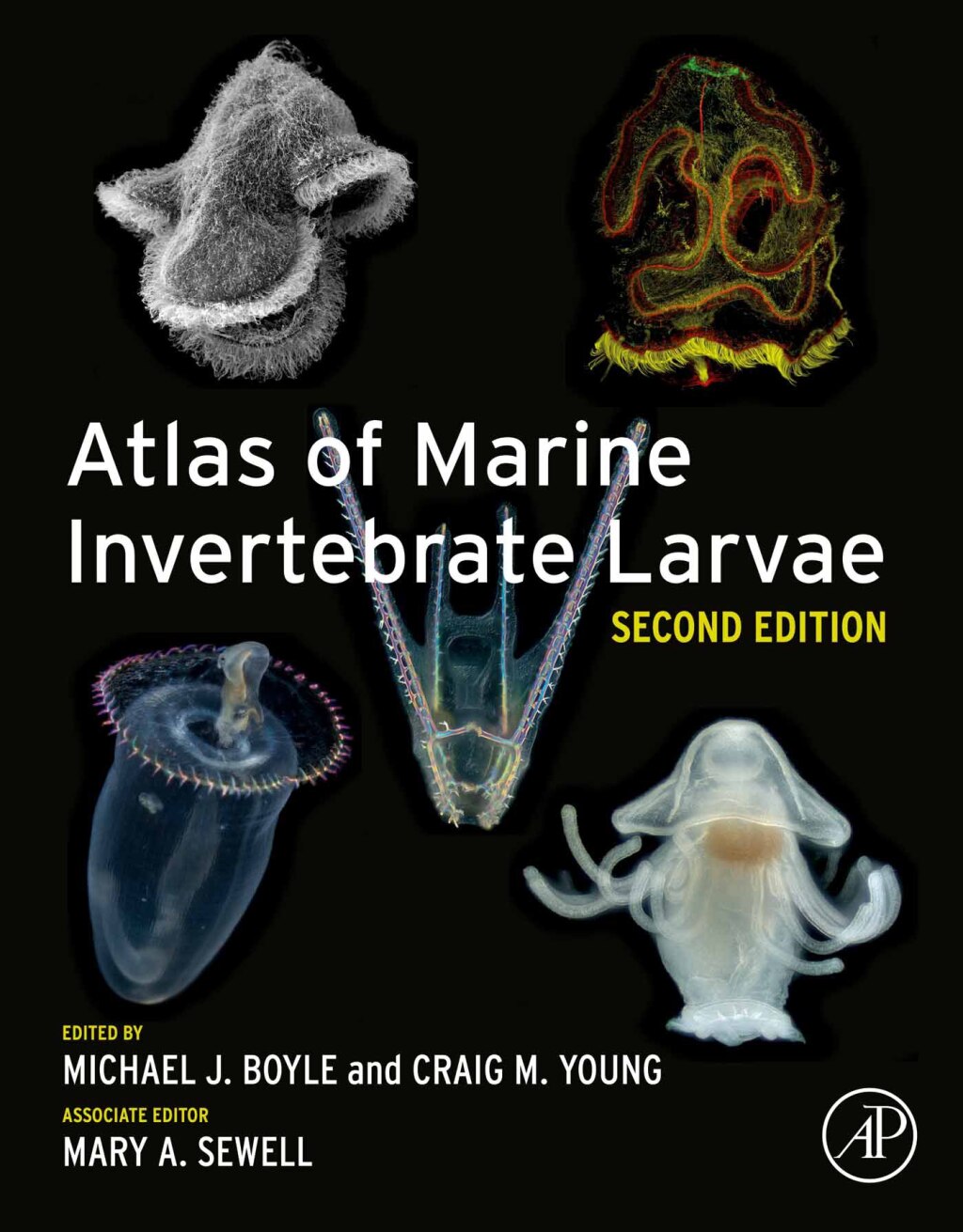Atlas of Marine Invertebrate Larvae 2nd Edition â€“ PDF/EPUB Version Downloadable