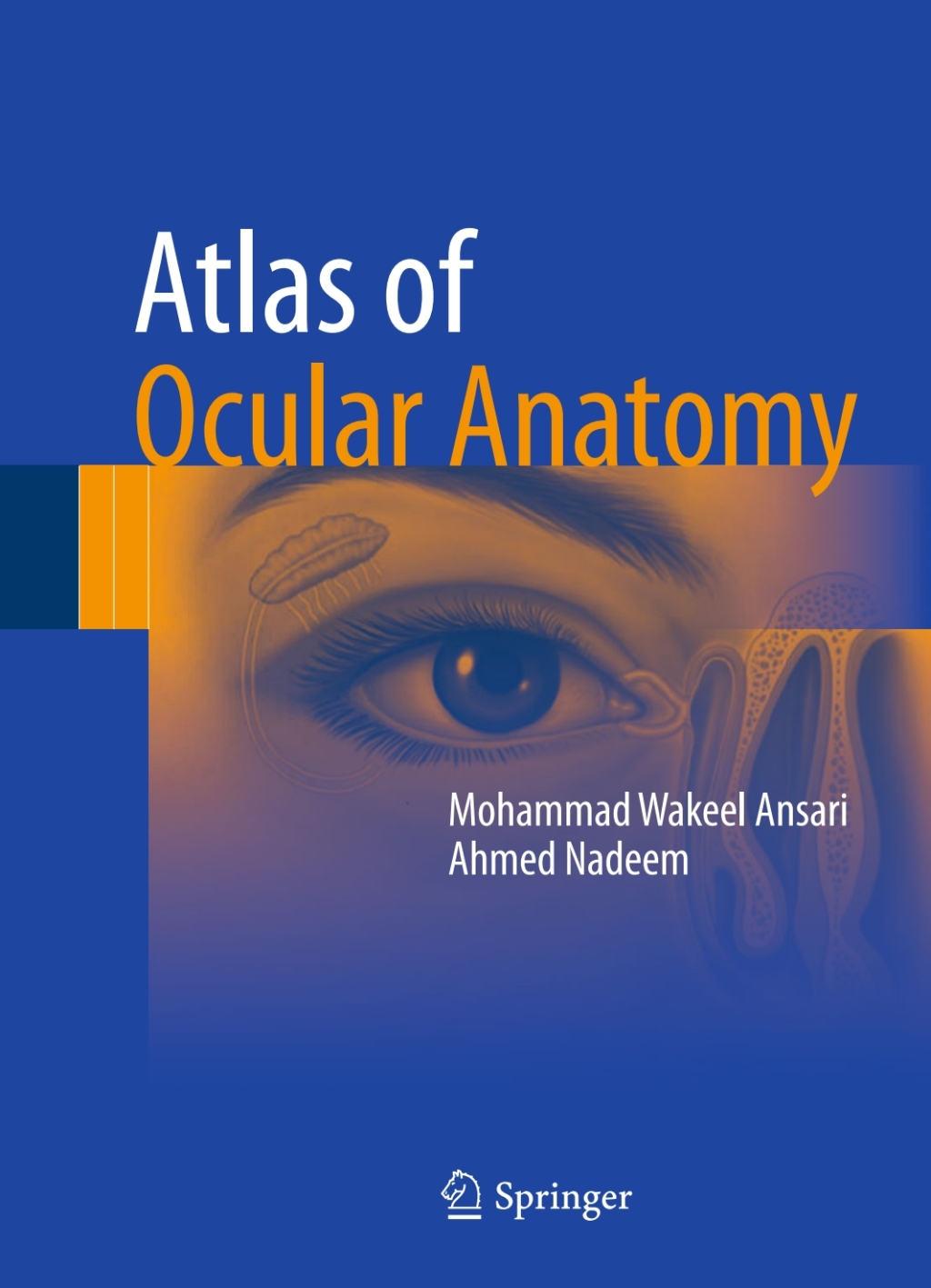 Atlas of Ocular Anatomy â€“ PDF/EPUB Version Downloadable