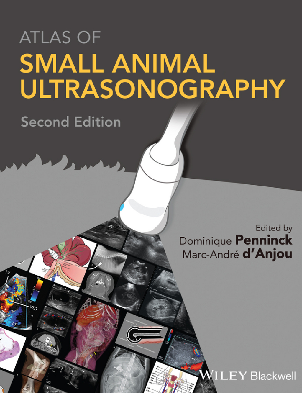 Atlas of Small Animal Ultrasonography 2nd Edition â€“ PDF/EPUB Version Downloadable