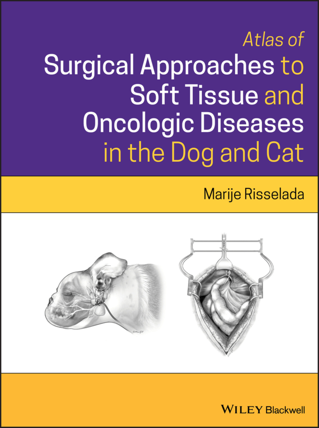Atlas of Surgical Approaches to Soft Tissue and Oncologic Diseases in the Dog and Cat 1st Edition â€“ PDF/EPUB Version Downloadable