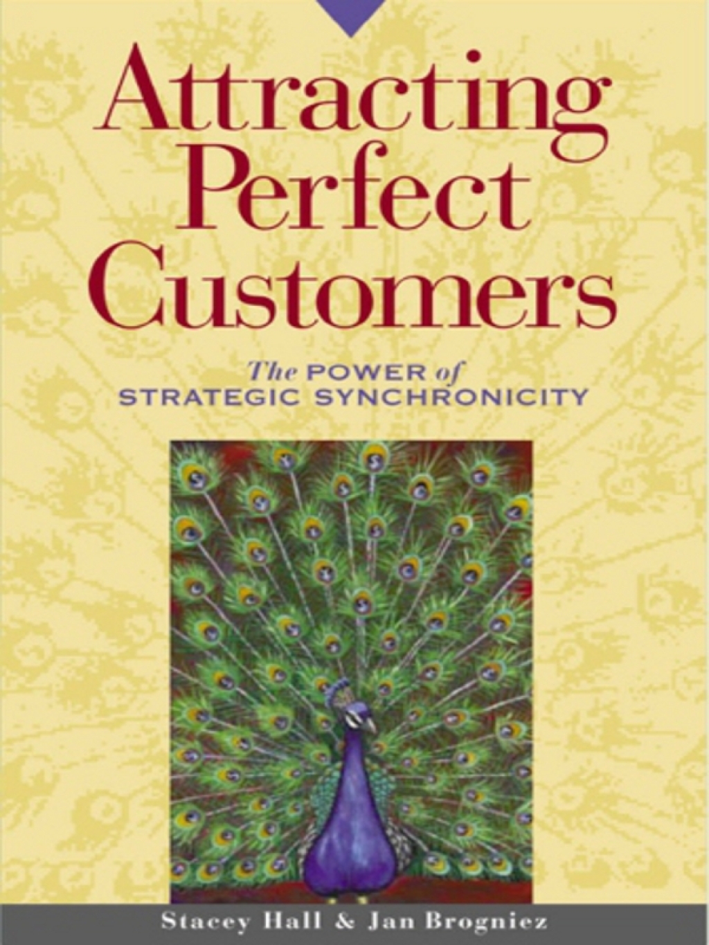 Attracting Perfect Customers The Power of Strategic Synchronicity - (PDF/EPUB Version)
