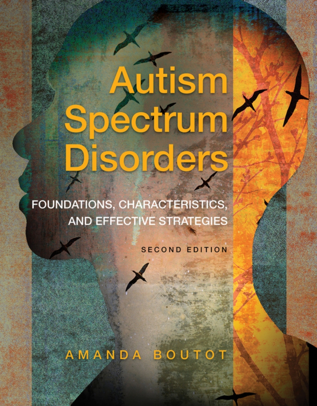 Autism Spectrum Disorders: Foundations, Characteristics, and Effective Strategies (Pearson+) 2nd Edition â€“ PDF/EPUB Version Downloadable