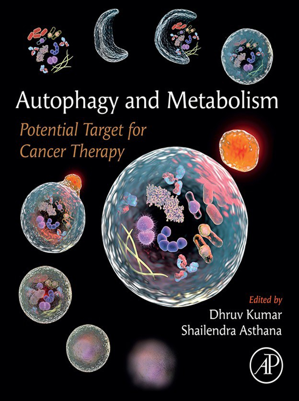 Autophagy and Metabolism Potential Target for Cancer Therapy â€“ PDF ...