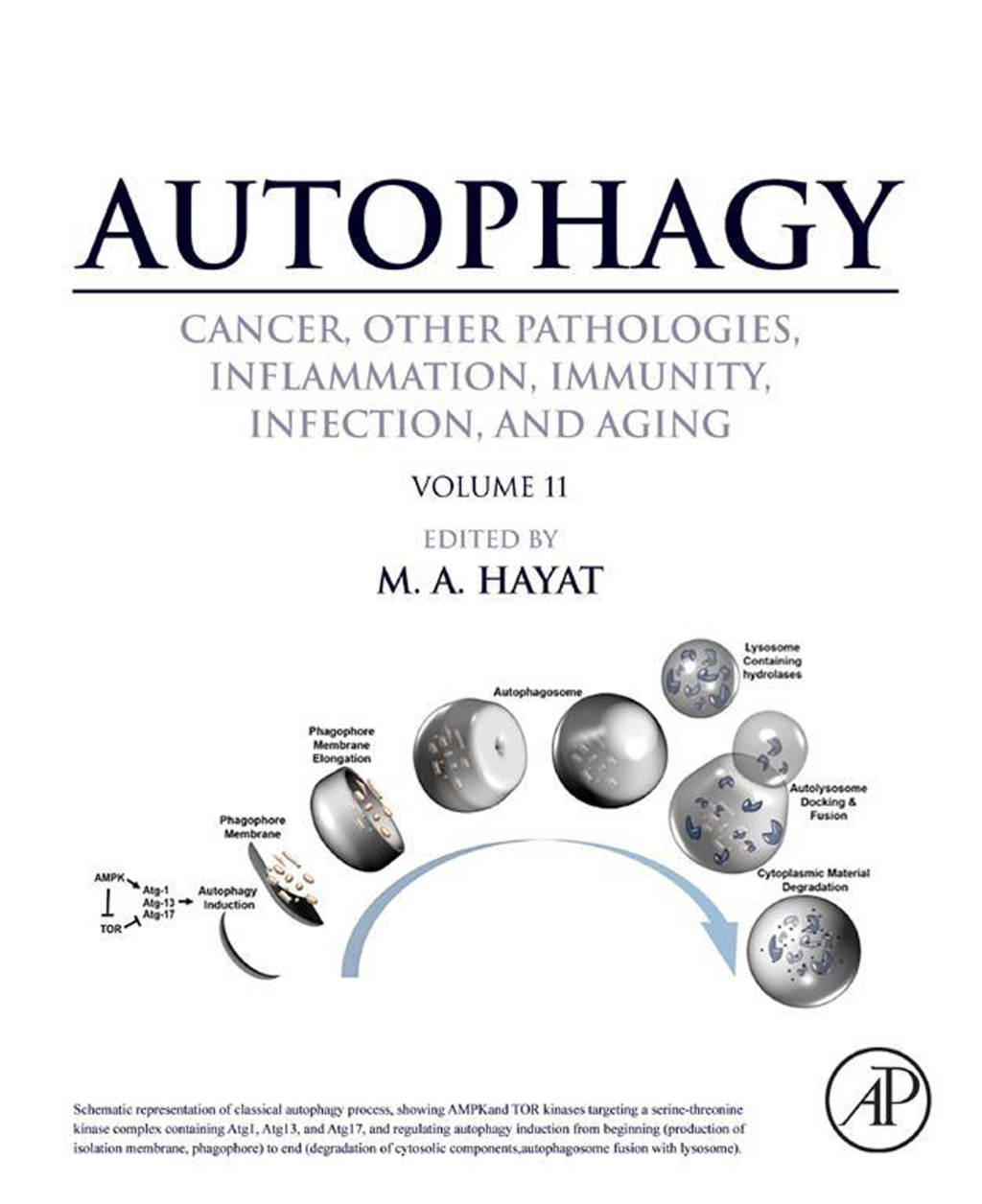 Autophagy: Cancer, Other Pathologies, Inflammation, Immunity, Infection, and Aging â€“ PDF/EPUB Version Downloadable