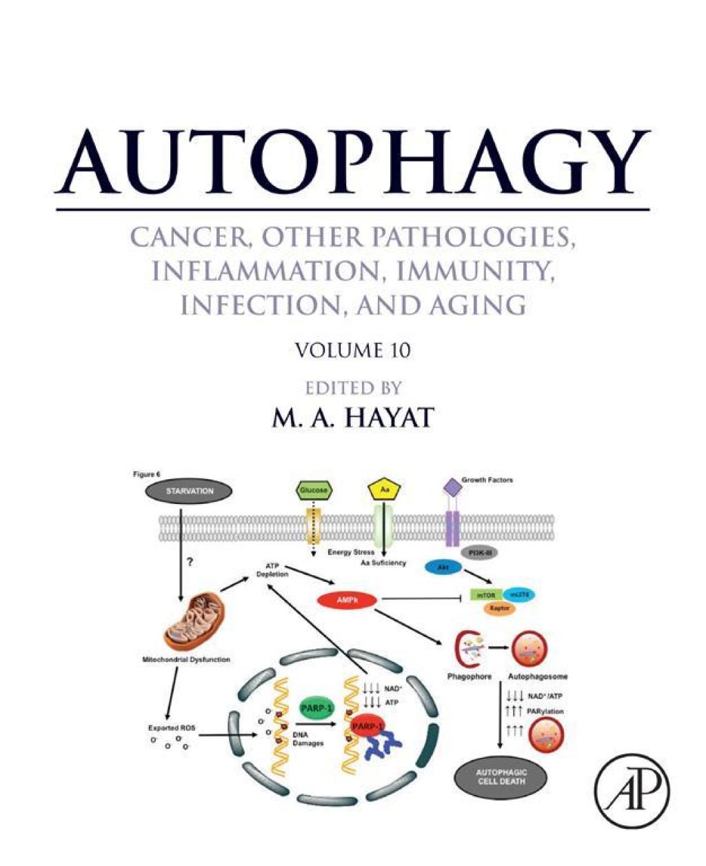 Autophagy: Cancer, Other Pathologies, Inflammation, Immunity, Infection, and Aging Volume 10 â€“ PDF/EPUB Version Downloadable