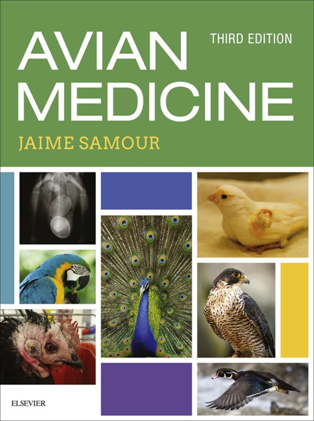 Avian Medicine 3rd Edition â€“ PDF/EPUB Version Downloadable