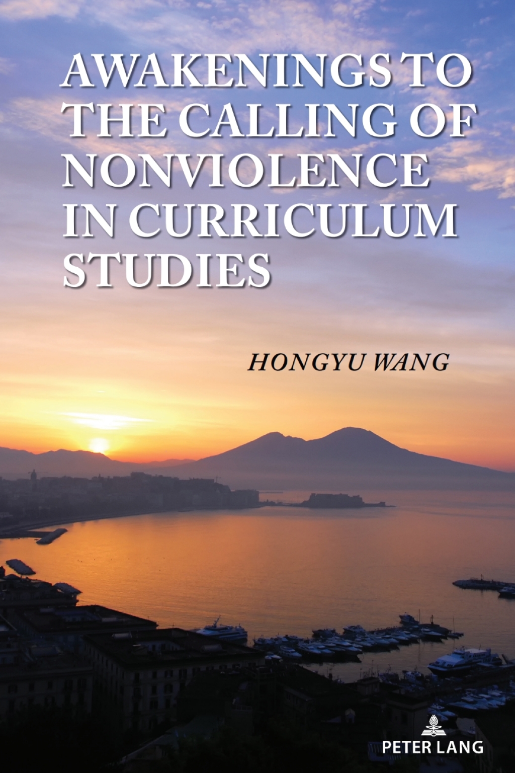 Awakenings to the Calling of Nonviolence in Curriculum Studies 1st Edition â€“ PDF/EPUB Version Downloadable