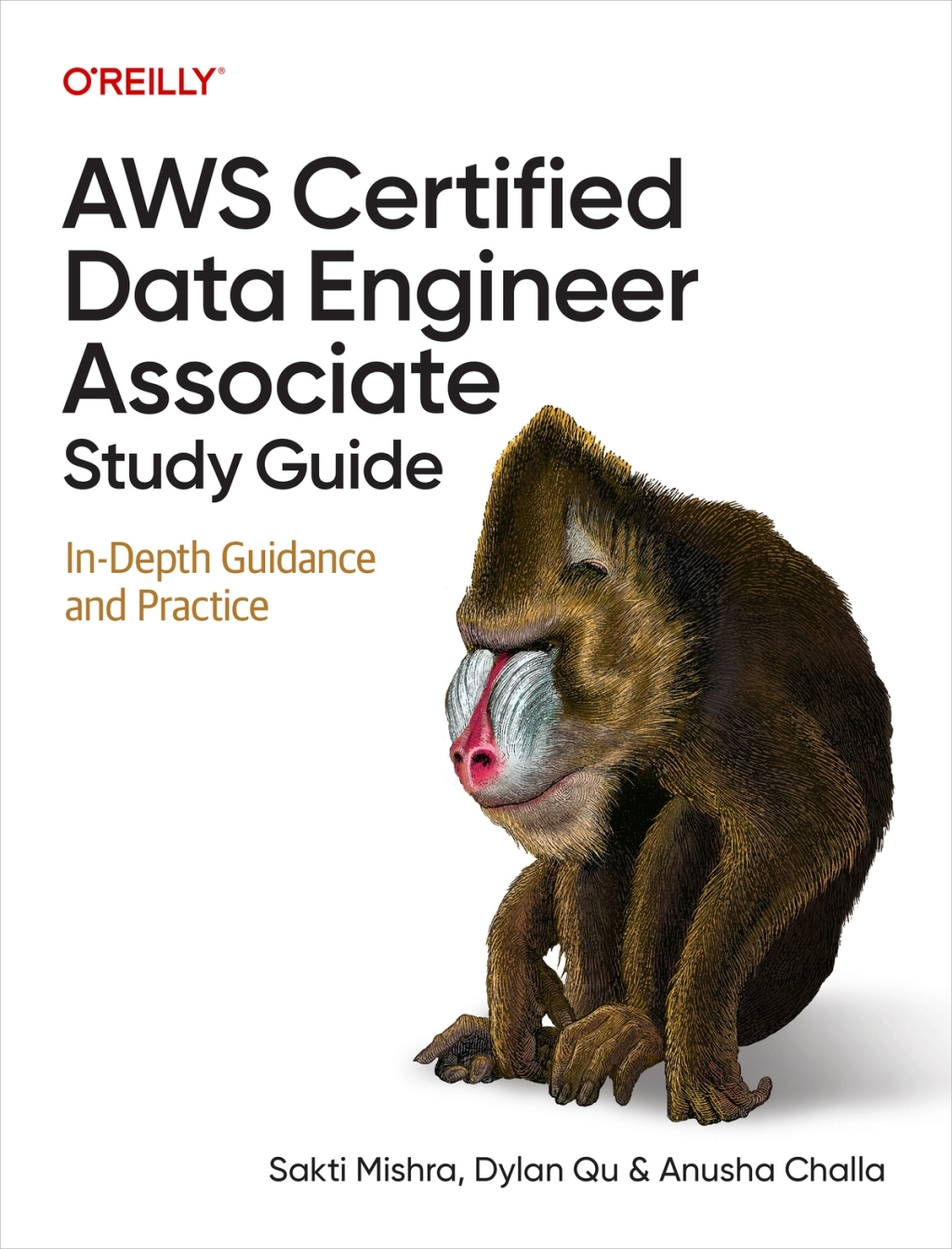 AWS Certified Data Engineer Associate Study Guide In-Depth Guidance and ...