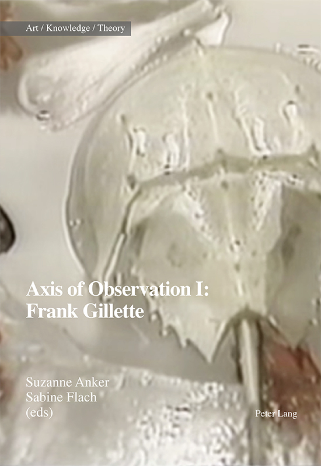 Axis of Observation: Frank Gillette 1st Edition â€“ PDF/EPUB Version Downloadable